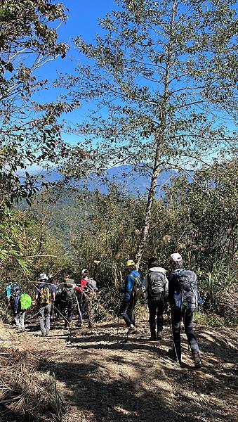 20231119 新竹尖石鄉 #28小百岳 李棟山