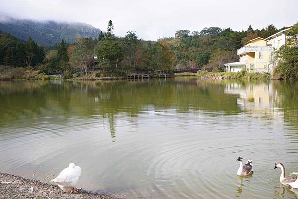 20231126 苗栗南庄鄉 向天湖山 光天高山