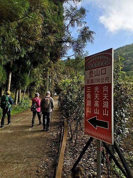 20231126 苗栗南庄鄉 向天湖山 光天高山