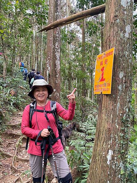 20231126 苗栗南庄鄉 向天湖山 光天高山