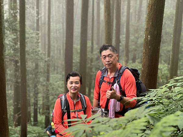 20231126 苗栗南庄鄉 向天湖山 光天高山