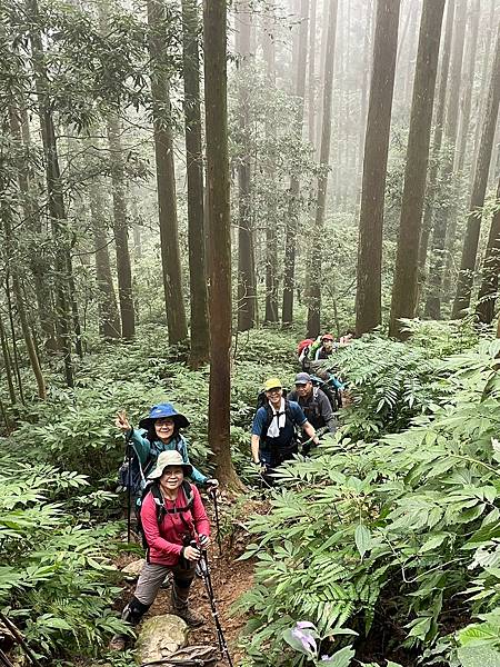 20231126 苗栗南庄鄉 向天湖山 光天高山