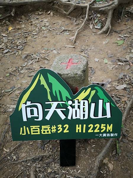 20231126 苗栗南庄鄉 向天湖山 光天高山