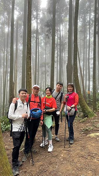 20231126 苗栗南庄鄉 向天湖山 光天高山