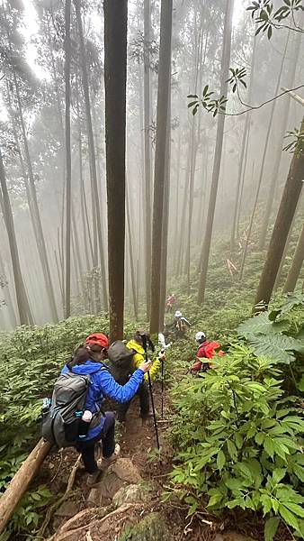 20231126 苗栗南庄鄉 向天湖山 光天高山