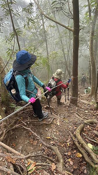 20231126 苗栗南庄鄉 向天湖山 光天高山