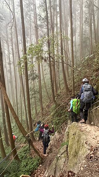 20231126 苗栗南庄鄉 向天湖山 光天高山