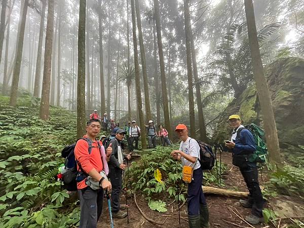 20231126 苗栗南庄鄉 向天湖山 光天高山