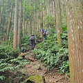 0917.jpg