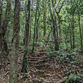 1033.jpg
