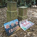 1056.jpg