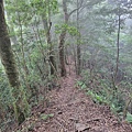 1140.jpg