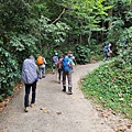 1040.jpg