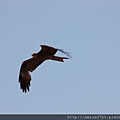 IMG_0664.JPG