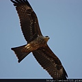 IMG_0837.JPG