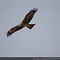 IMG_0864.JPG