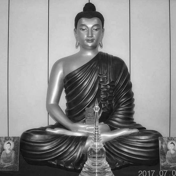 IMG_0877.JPG IMG_0877.JPG