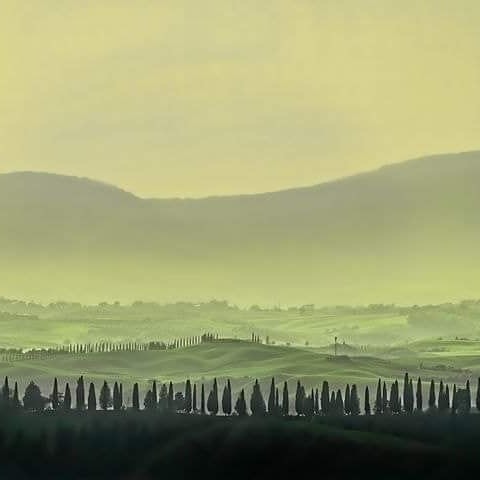 15D59847-7AFA-45CC-A264-CA1D448679B1.jpeg 15D59847-7AFA-45CC-A264-CA1D448679B1.jpeg