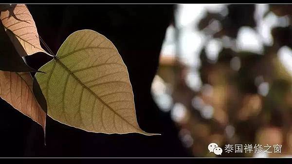 9D06E74A-E9B5-49BC-8252-BF68498D26D9.jpeg 9D06E74A-E9B5-49BC-8252-BF68498D26D9.jpeg