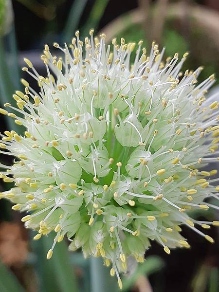 86E278F7-A505-4FD7-9C27-8372AE08388F.jpeg 86E278F7-A505-4FD7-9C27-8372AE08388F.jpeg