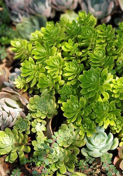 1E2FFDE6-5ACE-4044-A5BA-C5DC30B4C348.jpeg 1E2FFDE6-5ACE-4044-A5BA-C5DC30B4C348.jpeg