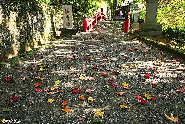 _MG_3622.jpg _MG_3622.jpg