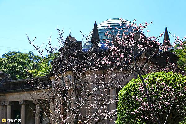 _MG_9664.jpg _MG_9664.jpg