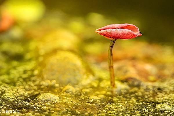 _MG_5538.jpg _MG_5538.jpg