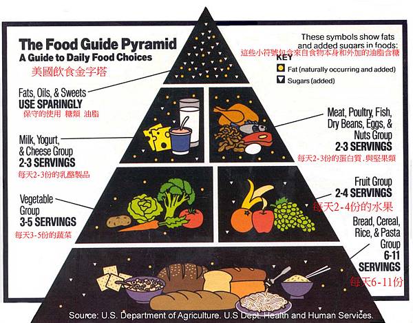 food-pyramid