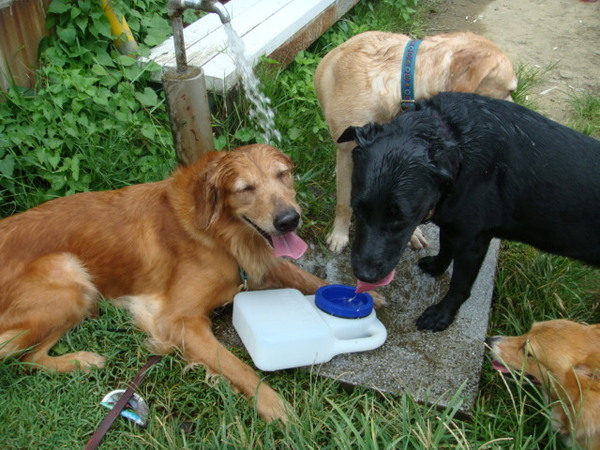 DSC00444.JPG