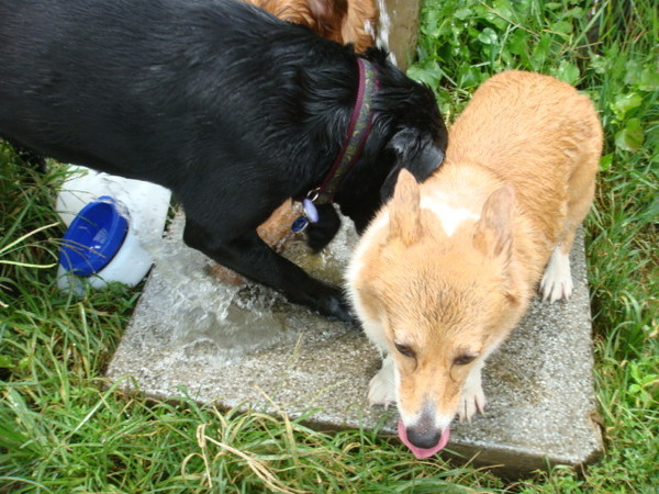 DSC00457.JPG