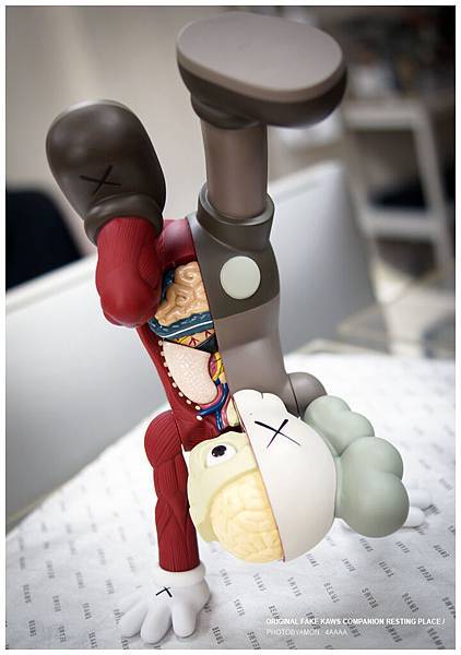 KAWS Companion 9