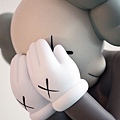 kaws Companion 8