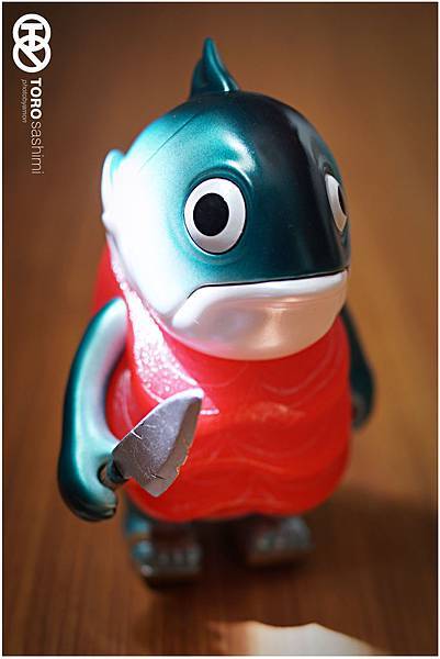 TORO11.jpg TORO11.jpg