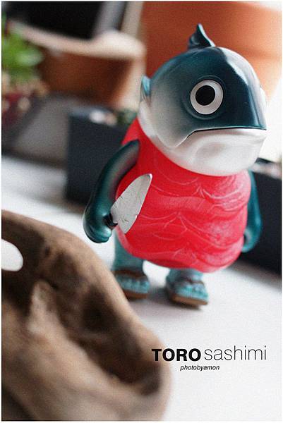 TORO14.jpg TORO14.jpg