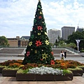 X'mas Tree @ St. Mary's Cathedral