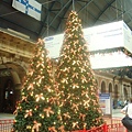 X'mas Tree @ Central Station