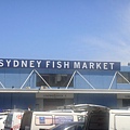 23 Dec 2009 @ Sydney Fish Market