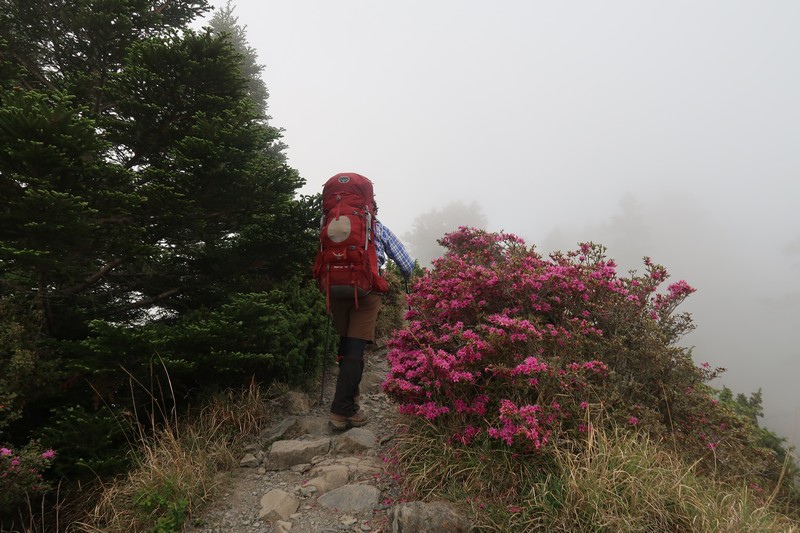 【雪山翠池行】兩天一夜雪山主峰、翠池 Day 2