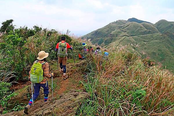 茶壺山、半屏山、燦光寮山O型縱走