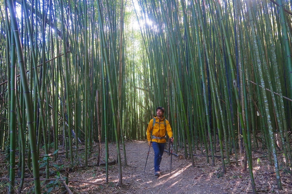 霞喀羅古道 尋找~深秋楓紅 一日來回~養老進出之不正常逆走