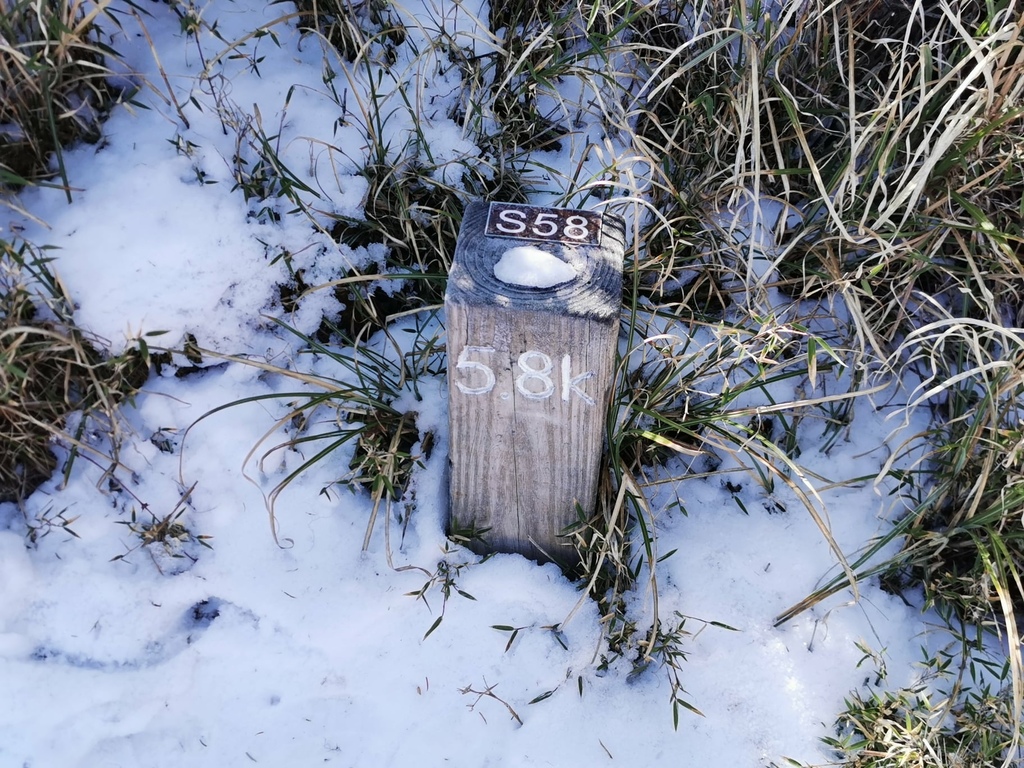 雪登雪山主峰賞雪趣