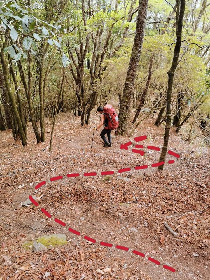 屏風山111.2K新登山口～三日耍廢糜爛渡假行