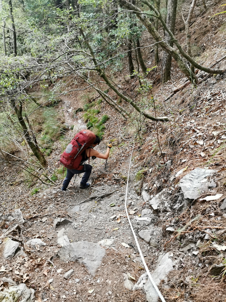 屏風山111.2K新登山口～三日耍廢糜爛渡假行