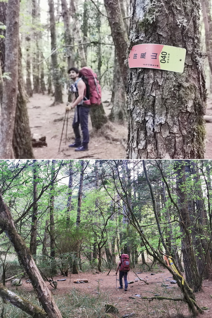 屏風山111.2K新登山口～三日耍廢糜爛渡假行