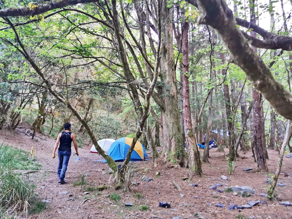 屏風山111.2K新登山口～三日耍廢糜爛渡假行