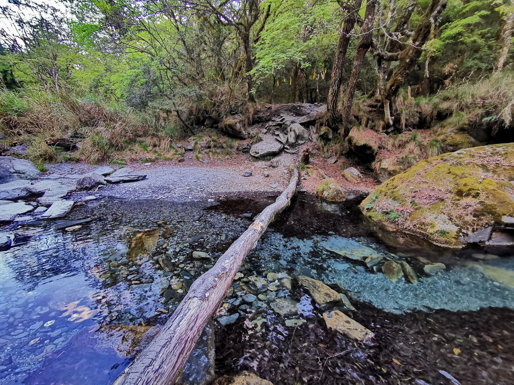 屏風山111.2K新登山口～三日耍廢糜爛渡假行