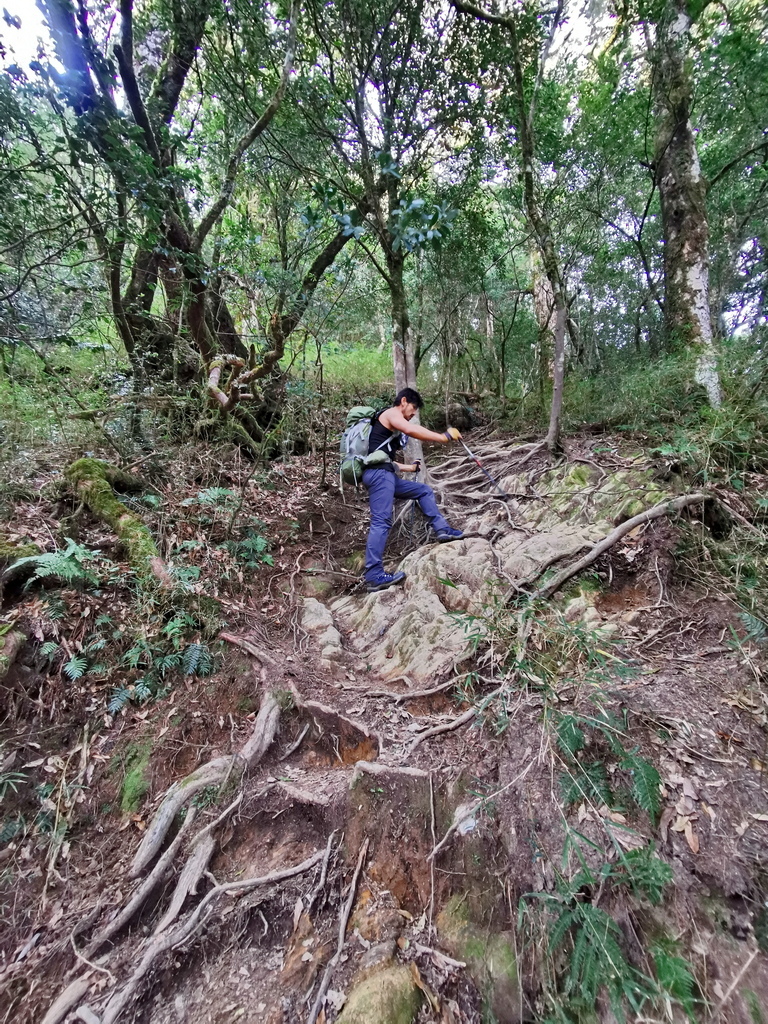 屏風山111.2K新登山口～三日耍廢糜爛渡假行