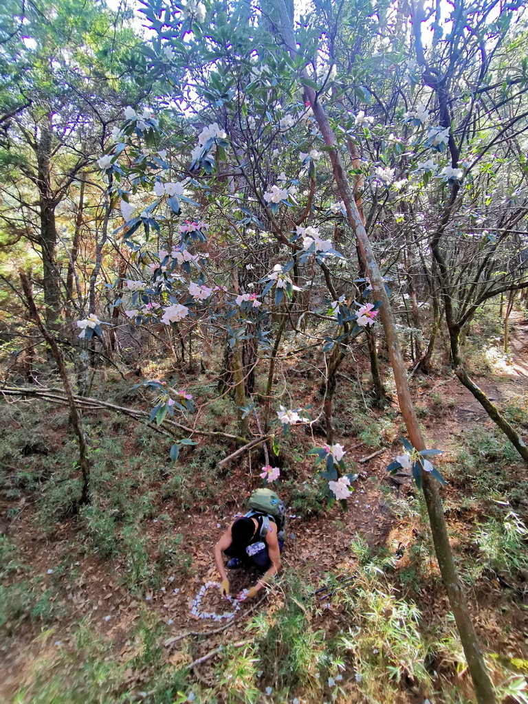 屏風山111.2K新登山口～三日耍廢糜爛渡假行