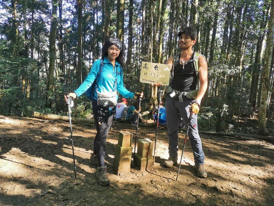 高島縱走~沐浴在耶穌光下的杉木姑婆芋森林